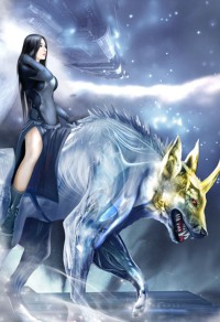 风口无敌